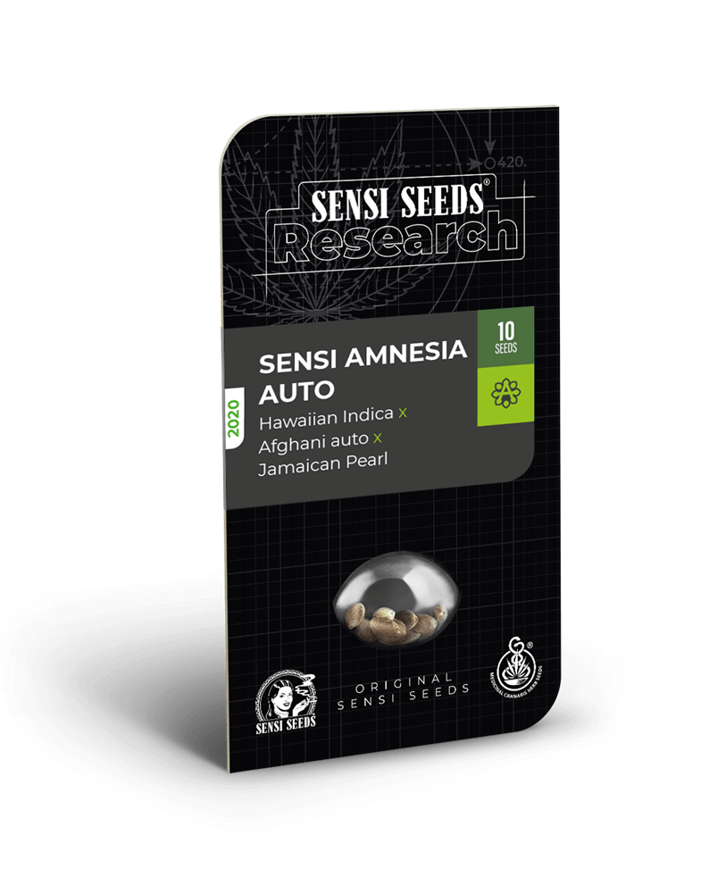 Sensi Amnesia - Autoblomstrende skunkfrø | Sensi Seeds - Billede 2